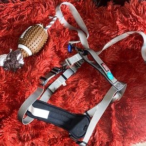NWT KONG dog harness! Size L! COMES WITH FREE TOY💕